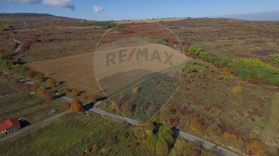 Land 2,556sqm Padureni (Chinteni) / Drumul DC147