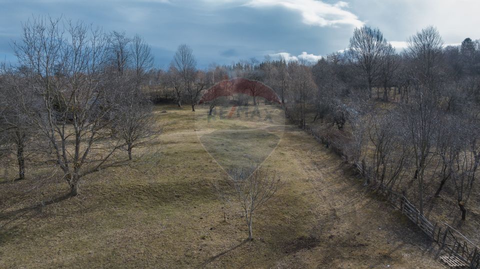 Land 1,614sqm Sohodol / Strada Înv. ioan pușcariu