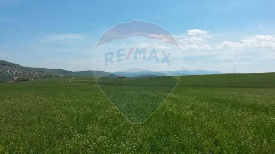 Land 4,200sqm Salicea / Soseaua Principala