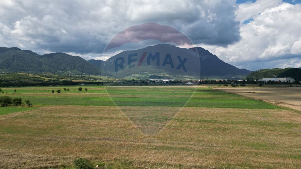 Teren intravilan de vânzare 1180 mp – Zărnești