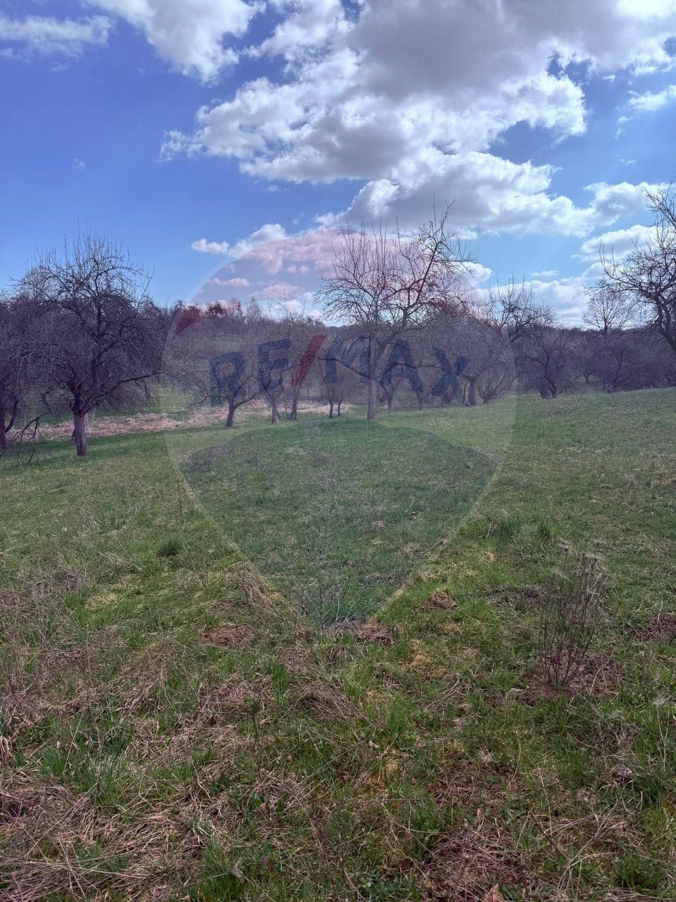 Teren 6,377mp Harnicesti / Strada Principala