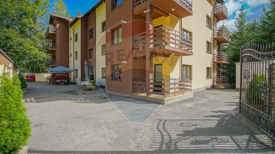 2 room Apartment for sale, Vladet - Trei Brazi area