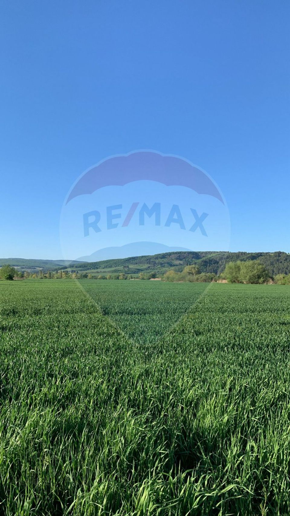 Land 30,281sqm Bod / DJ Bod 103