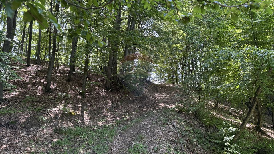 Teren de vanzare SE ACCEPTA SCHIMB CU PROPRIETATI