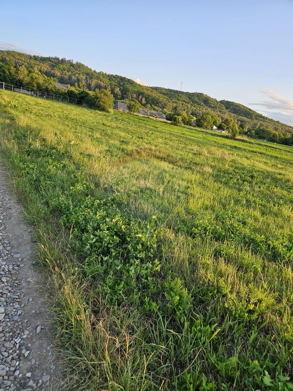 Teren 1,495mp Dobreni / Strada Parau Almas