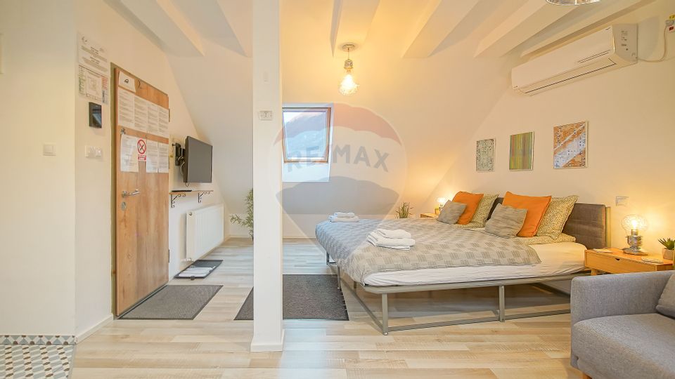 Casa cu 5 studiouri independente, terasa rooftop, vedere montana