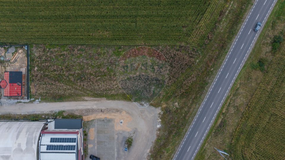 Un lot de casa intrare Sacele 790 mp