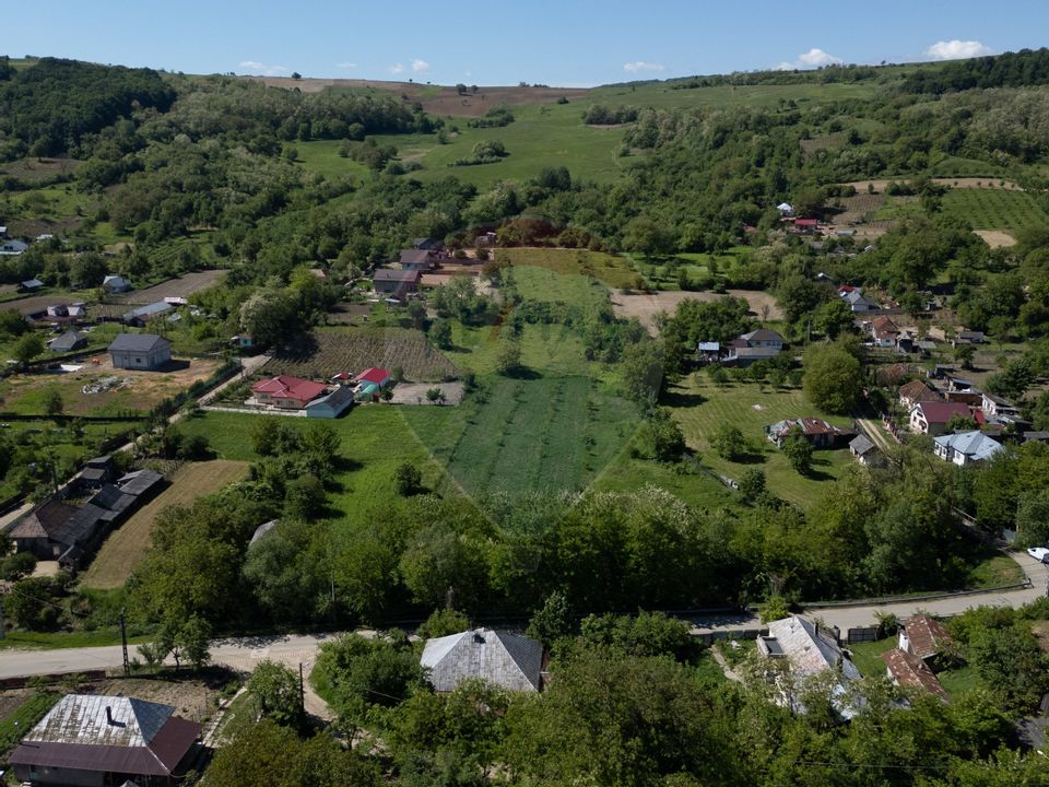 Teren de vanzare -Parava - DRAGUSANI