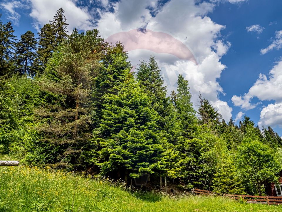 Vila / Pensiune cu 20 camere de vânzare în Câmpulung Moldovenesc, SV