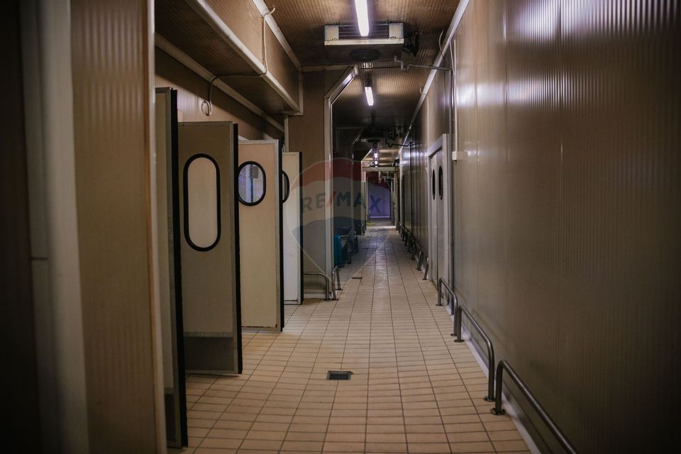 De vânzare AFACERE la cheie--CARMANGERIE--ABATOR--PREPARARE MEZELURI