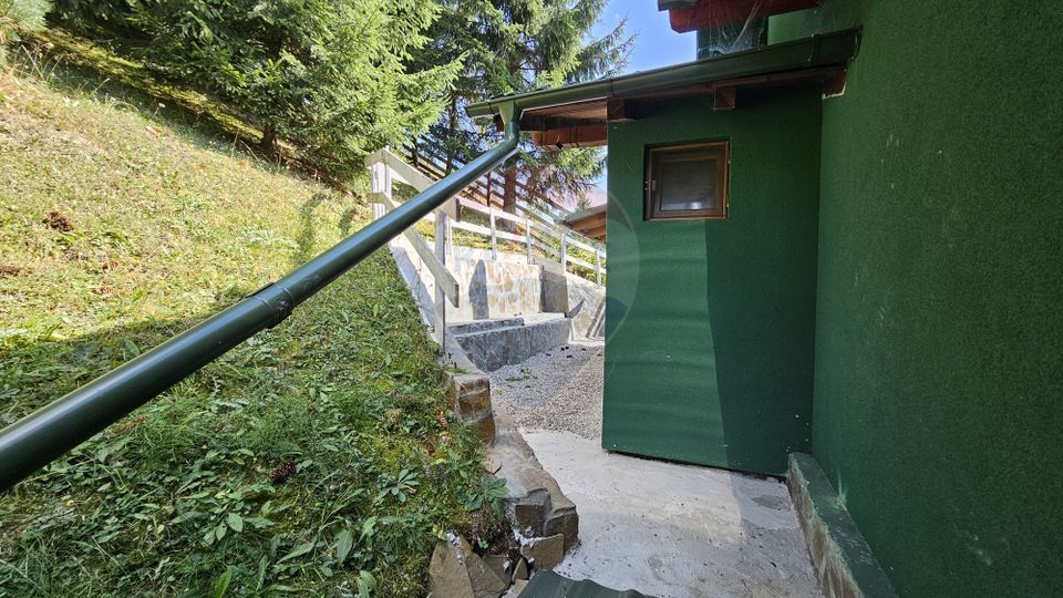 Casă / Vilă de vacanta in Dorna Arini, Suceava