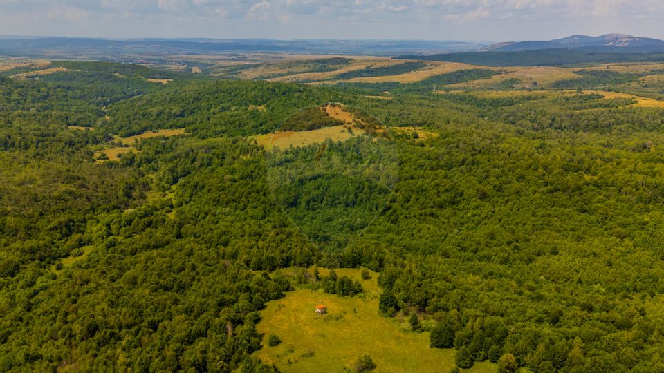 Land 981sqm Grid / Prelungirea Fara nume