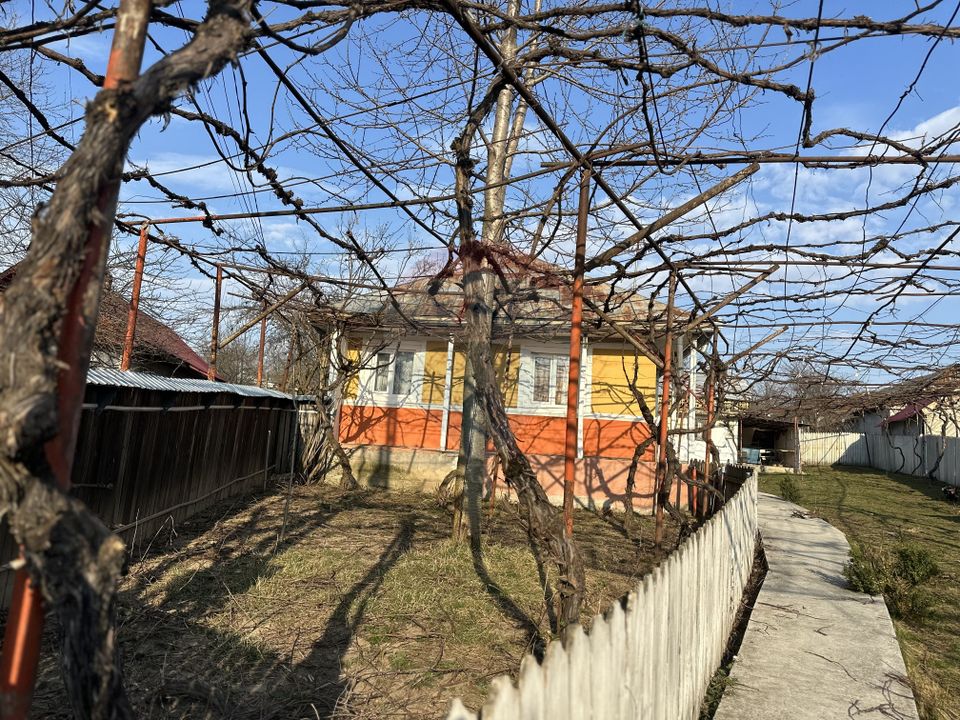 3 room House / Villa for sale