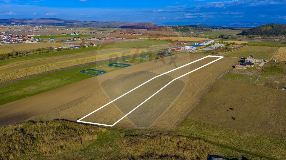 COMISION 0% Teren Sânpetru 8900 mp/ Intravilan/ 8 loturi