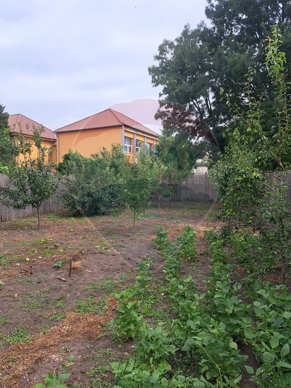 4 room House / Villa for sale, Gradiste area