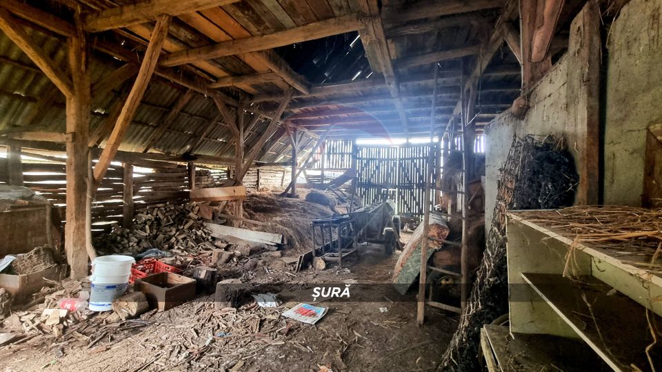 3 room House / Villa for sale