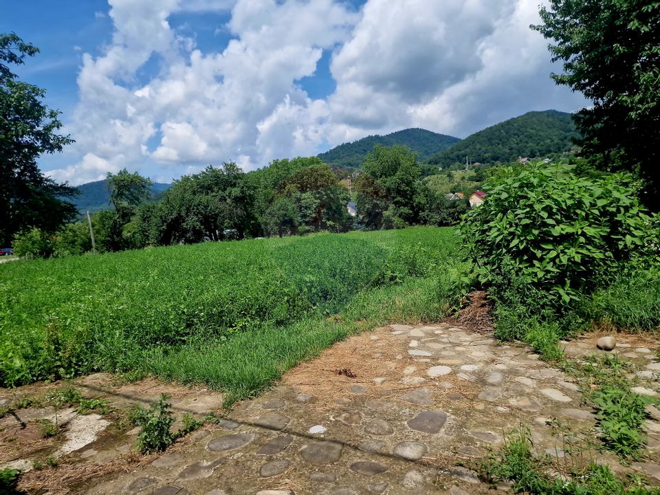 Teren intravilan 1000 mp – Viișoara, utilități