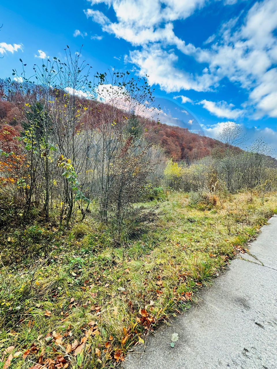 Teren 4,877mp Mara / Strada Principala