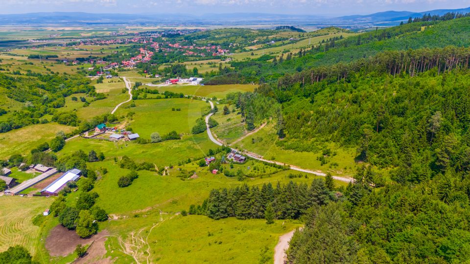 Land 7,400sqm Tarlungeni / Strada secundara