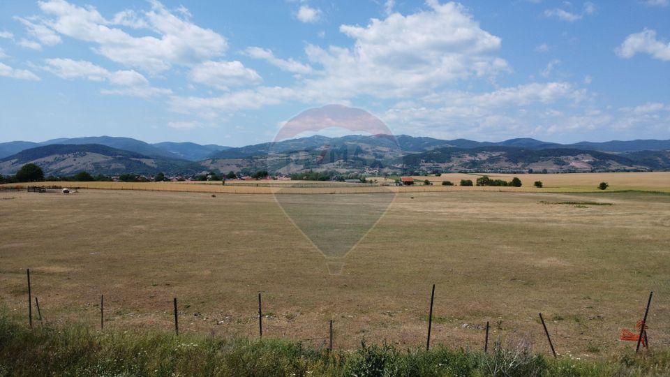 Teren industrial 10.000 mp Vințu de Jos investitie