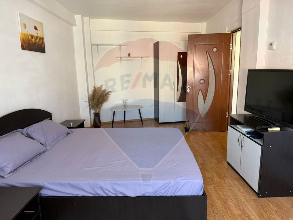 1 room Apartment for rent, Brazda lui Novac area