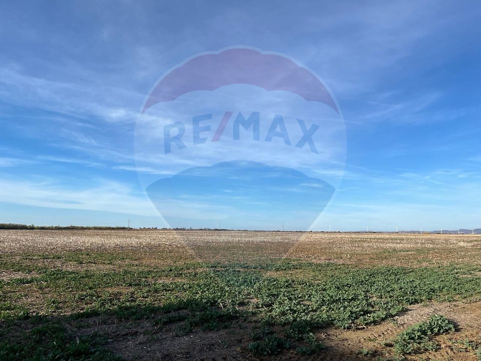 Teren de vanzare 17.500 mp , Paulesti, deschidere 27 m la DN1