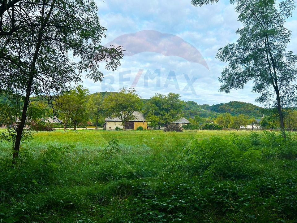 Land 5,500sqm Fauresti / Strada Principala