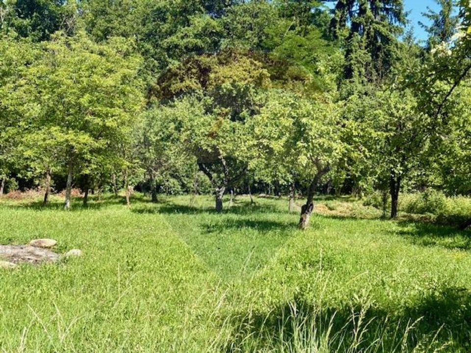 5 room House / Villa for sale