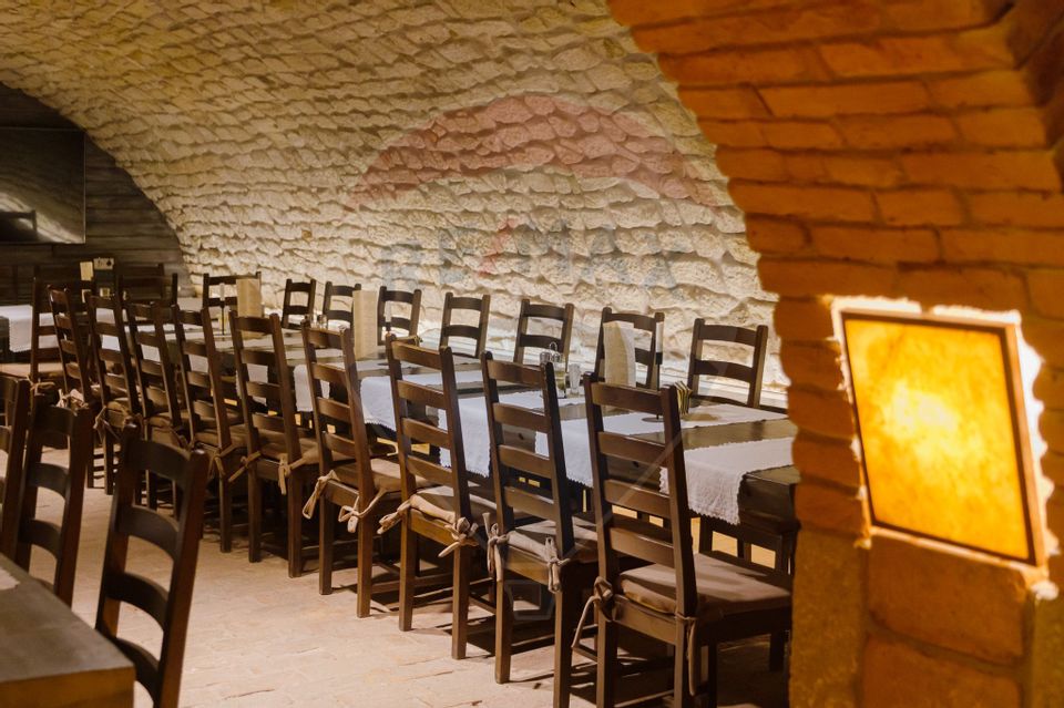 11 room Hotel / Pension for sale, Ultracentral area