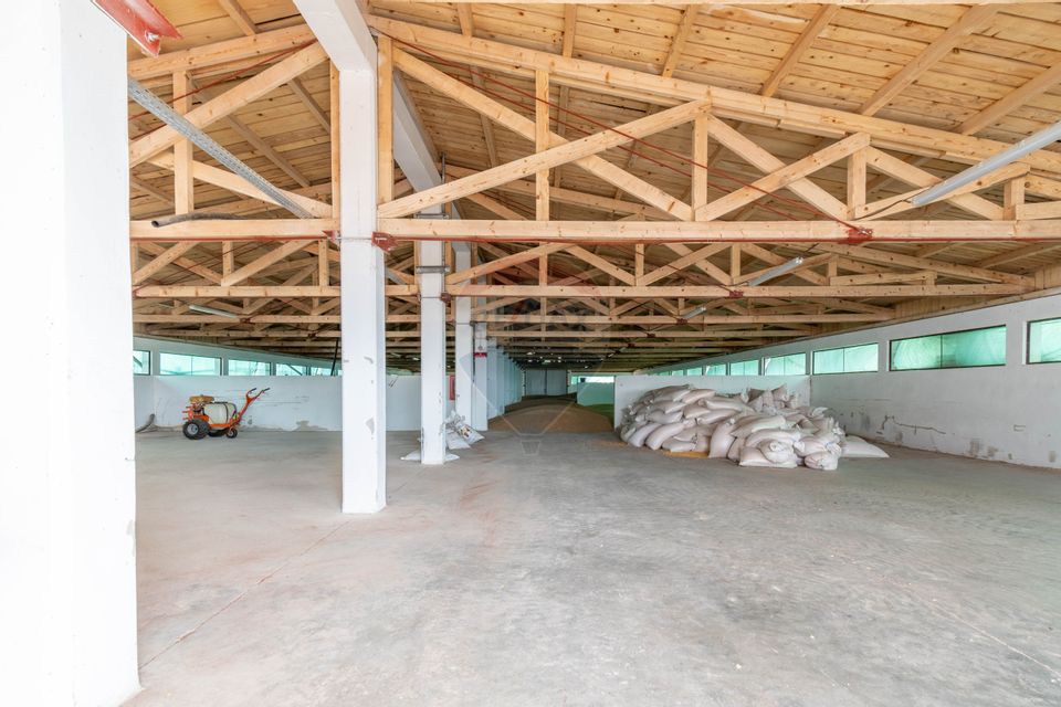 Ferma moderna de porci de vanzare in Curtuiusu Dejului