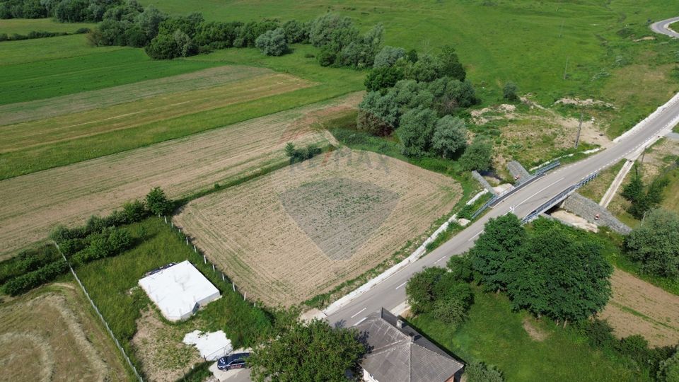 DE VÂNZARE TEREN INTRAVILAN SAU PARCELA – Șomcuta Mare (0% comision)