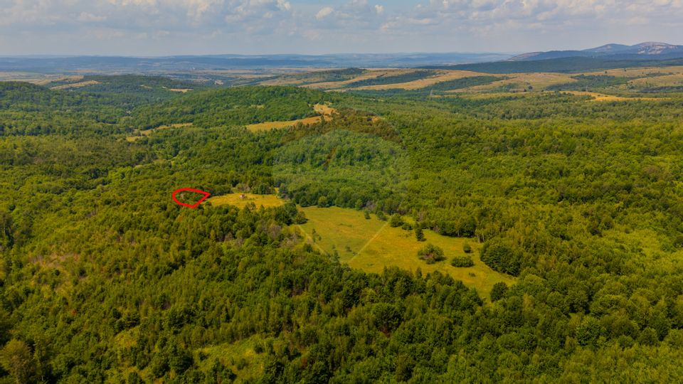 COMISION 0%  Teren 6,572 mp/Curți construcții/ Intravilan