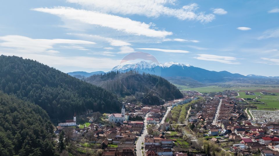 Casă cu 7 Camere + Spațiu Comercial, Oportunitate Rară, Comision 0%