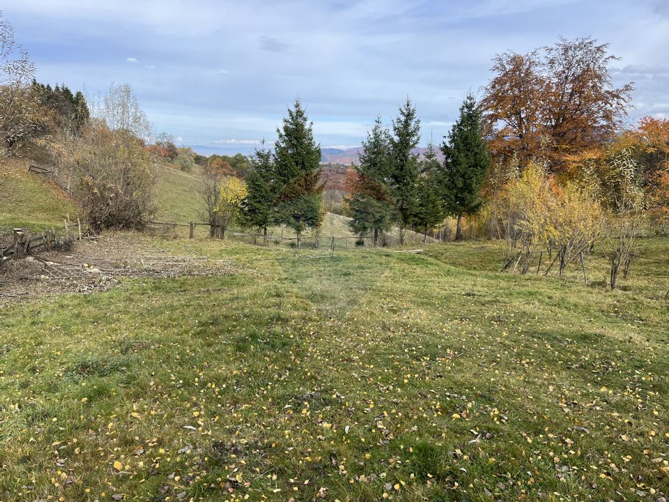 Teren de Vis în Bran – 1000mp Plat, Liniște Absolută și Aer Curat