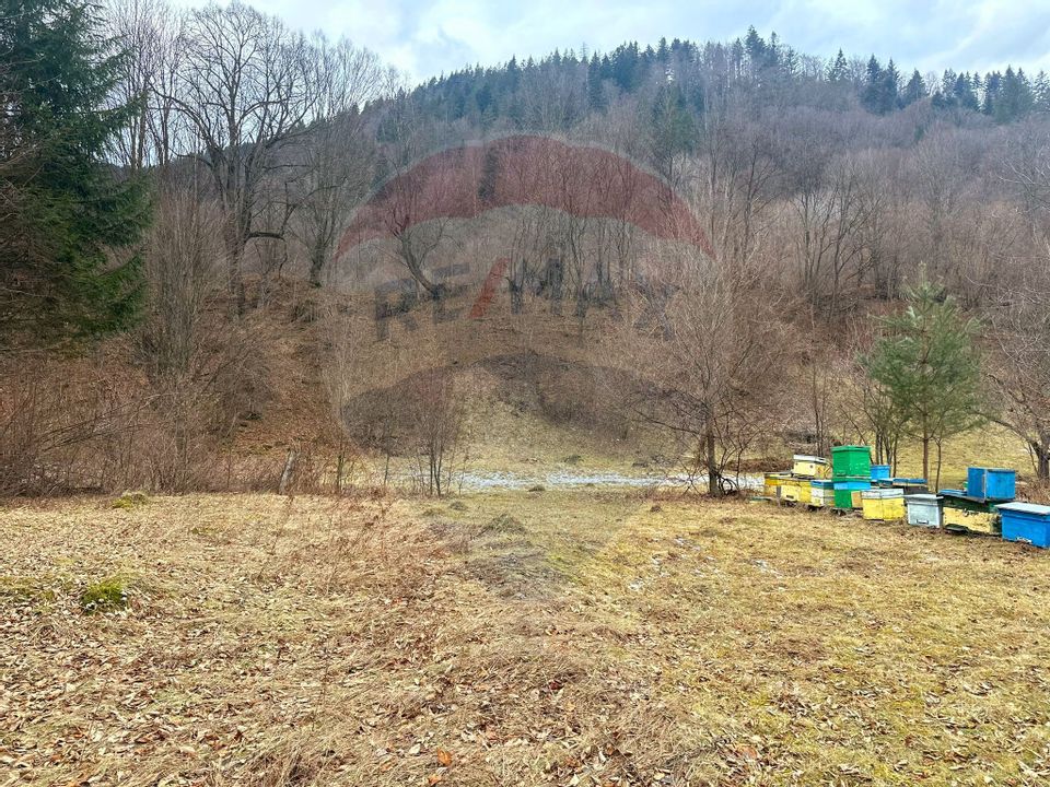 Land 2,350sqm Tarcau / Strada Cazaci , Punct Poiana Batrana