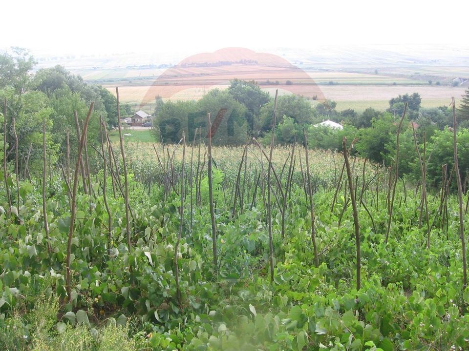 Teren 6,890mp Crasna / Strada Crasna