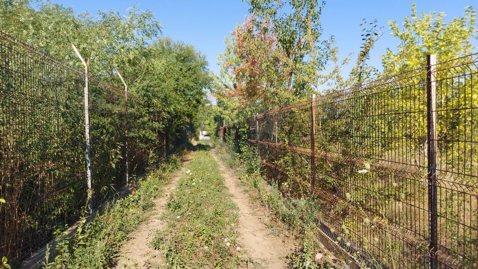 Vanzare teren Saftica strada Calea Bucuresti