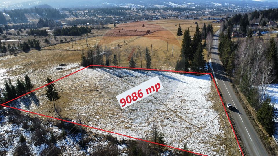 Teren 19,475mp Neagra Sarului / Strada Principala