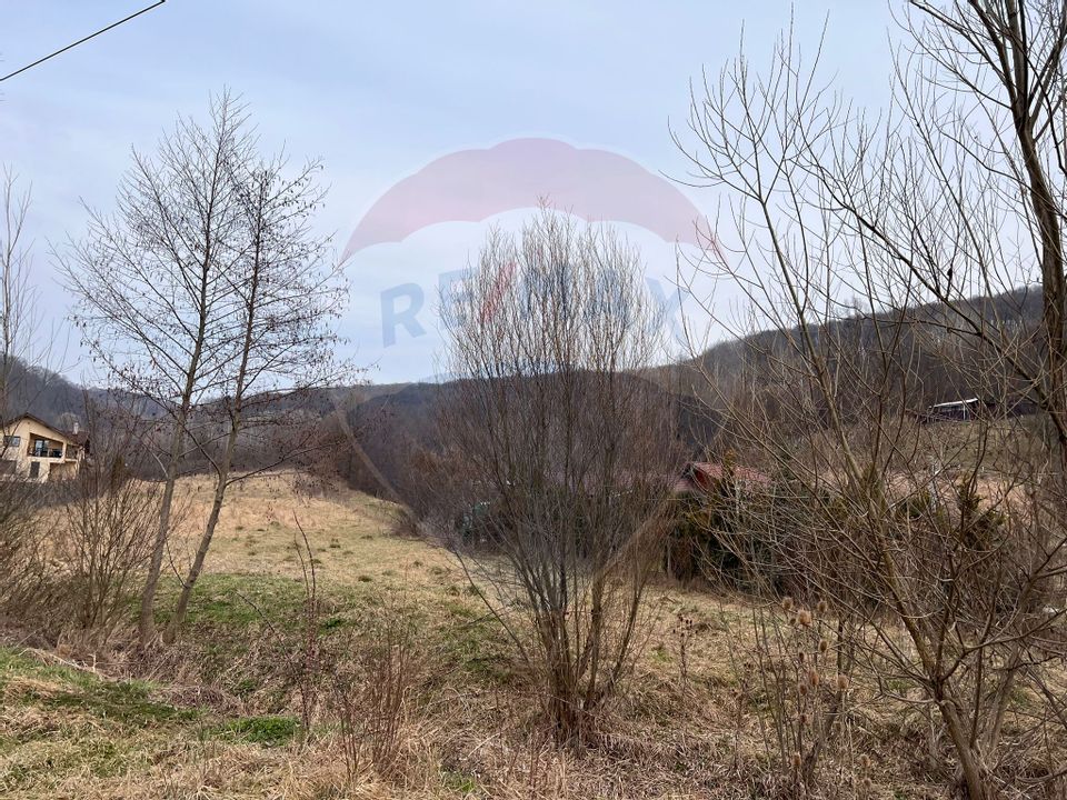 Land 500sqm Margineni / None