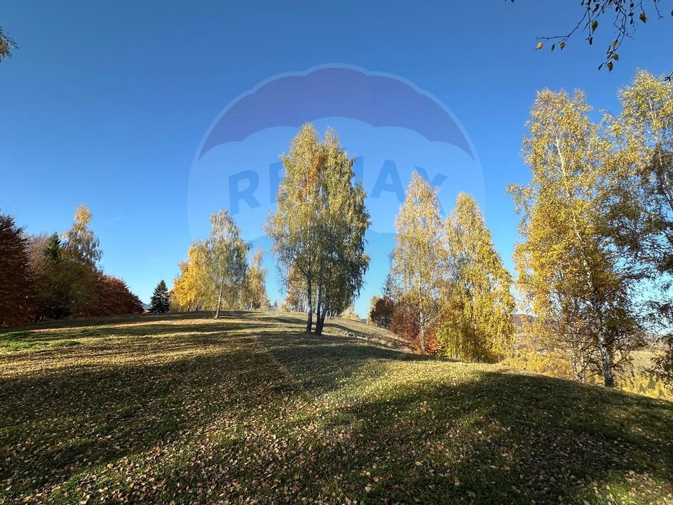 Investment opportunity ! Dream land in Pestera - 125,370 sqm