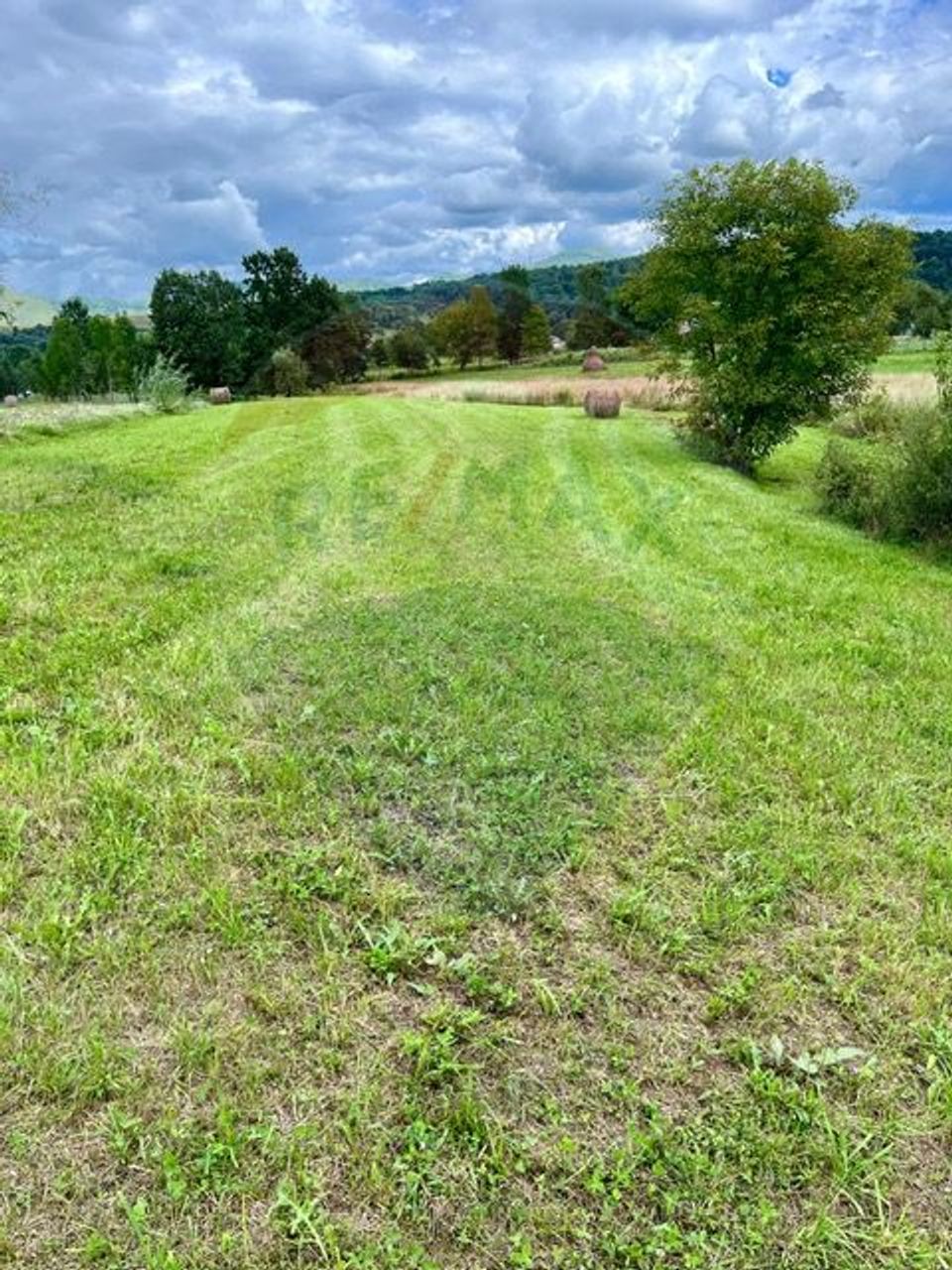 Land 1,884sqm Berbesti / Drumul secundar