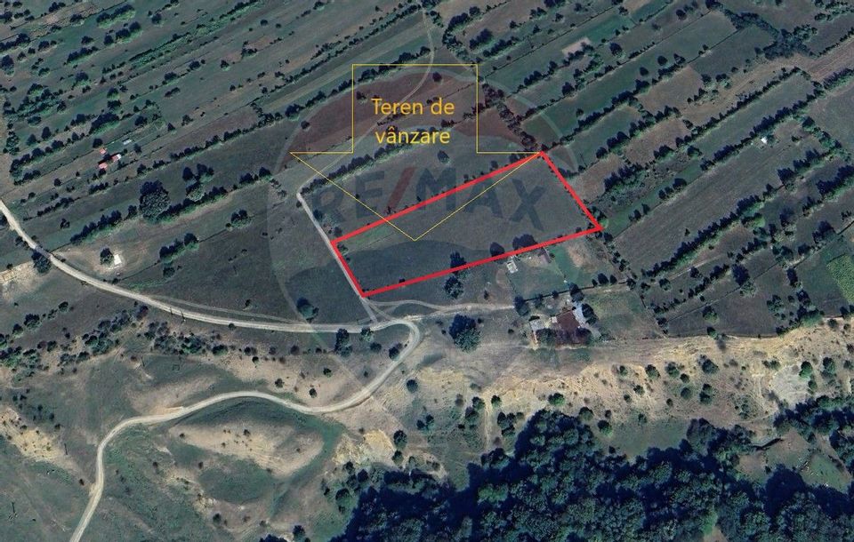 Land 11,400sqm Comanesti / Prelungirea Punct podina