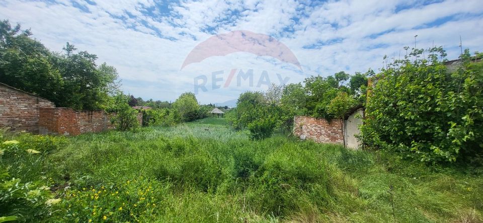 Teren Aradul Nou–2.311mp cu livadă și utilități, ideal pentru locuinte