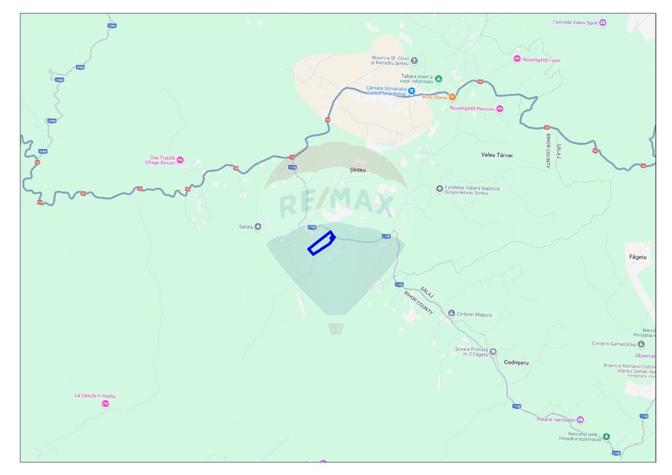 Teren de Vânzare, 7.4 Ha, dezvoltare turistică, Șinteu