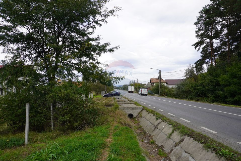 Teren 7968 mp Sighetu Marmatiei / Strada Lazu Baciului