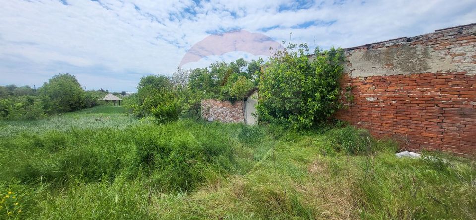 Teren Aradul Nou–2.311mp cu livadă și utilități, ideal pentru locuinte