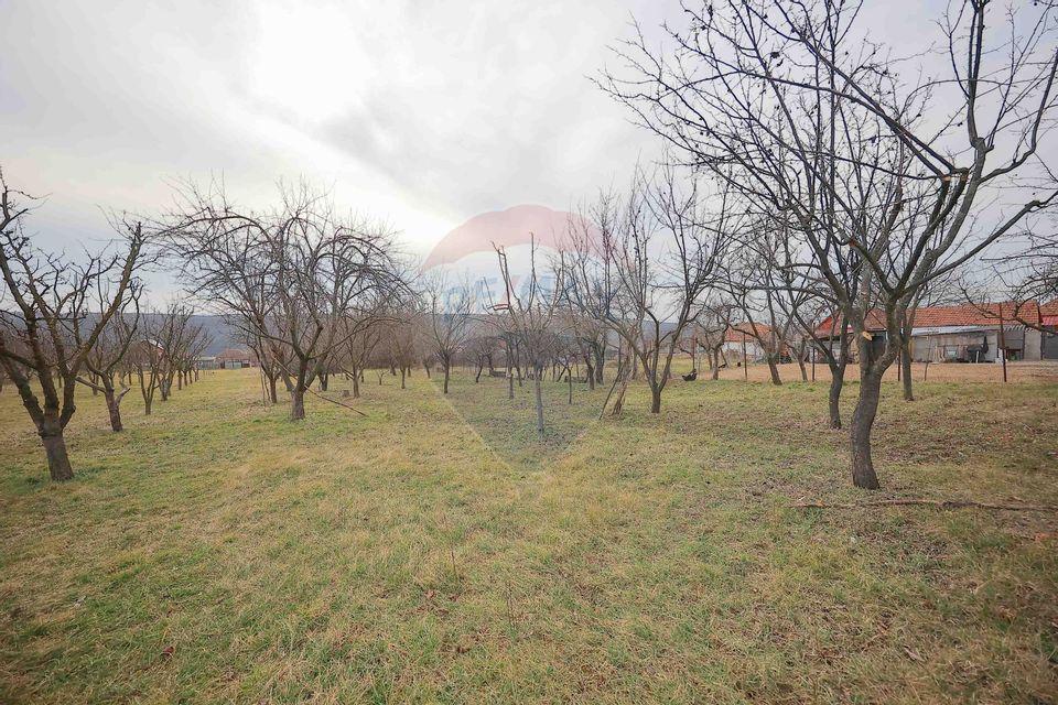 De vânzare Casā + Teren 2685 mp Intravilan, Betfia, Bihor