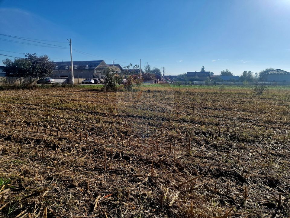 Land 4,000sqm Savinesti / Strada Gradinarilor