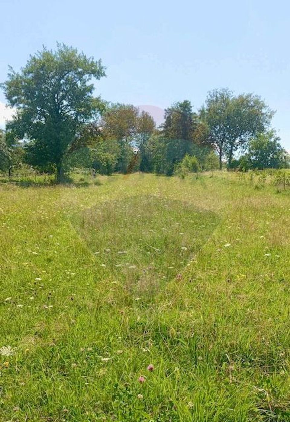 Teren 1,915mp Breb / Drumul Principal