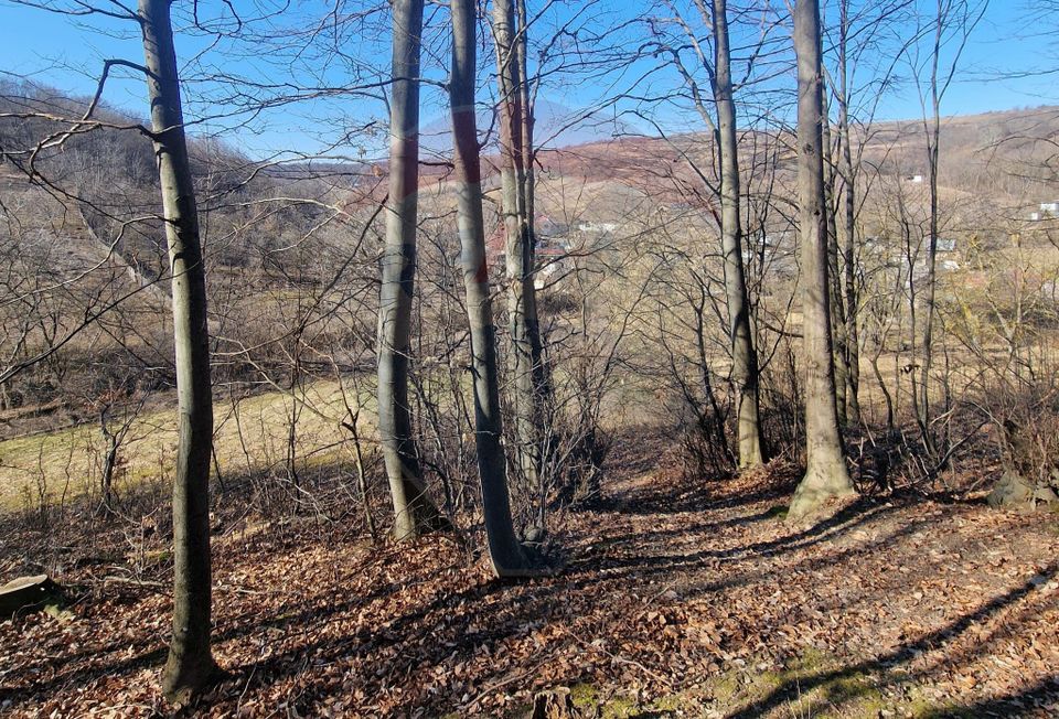 Land 4,985sqm Sascut / None